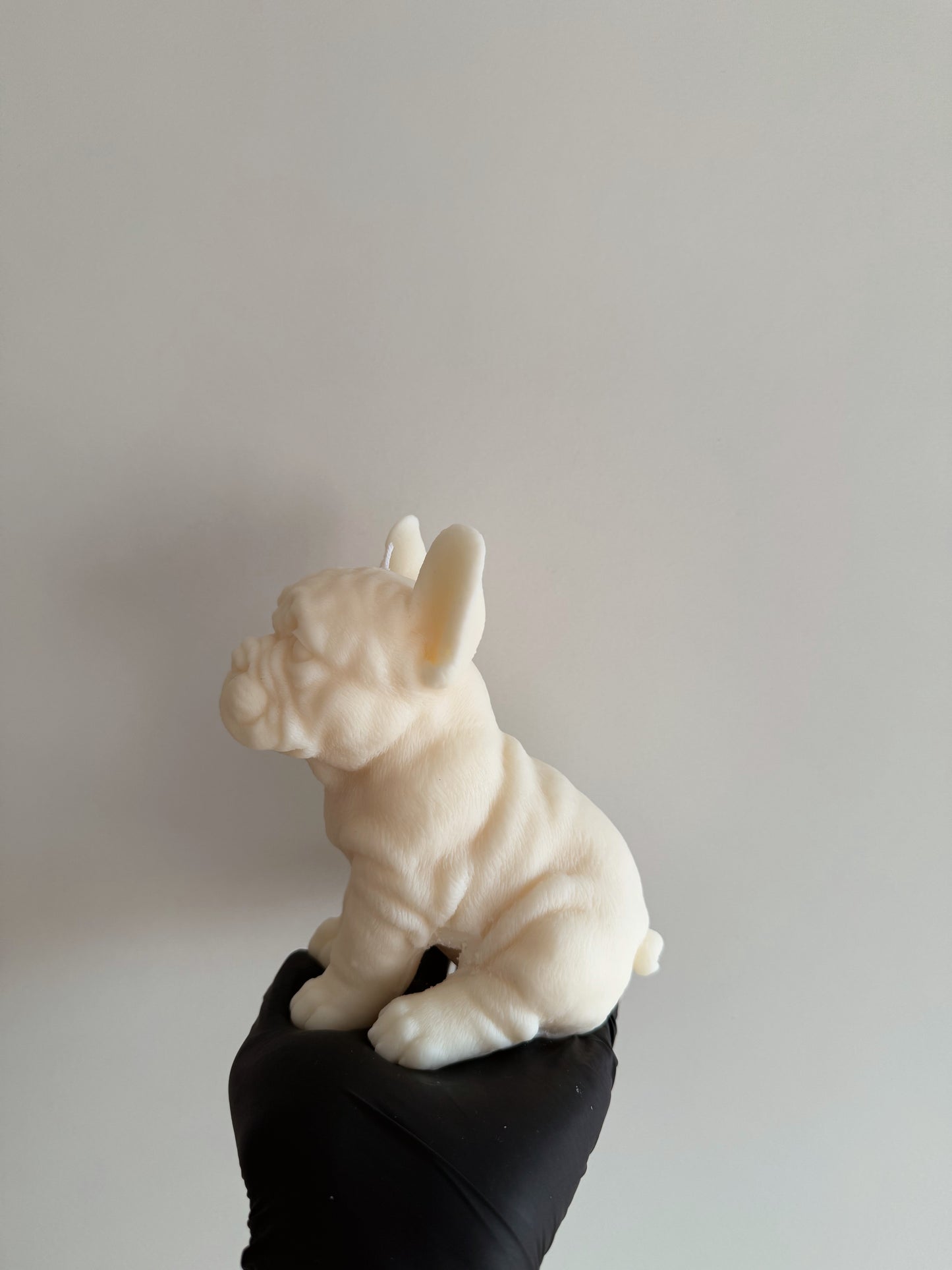 FRENCH BULLDOG küünal