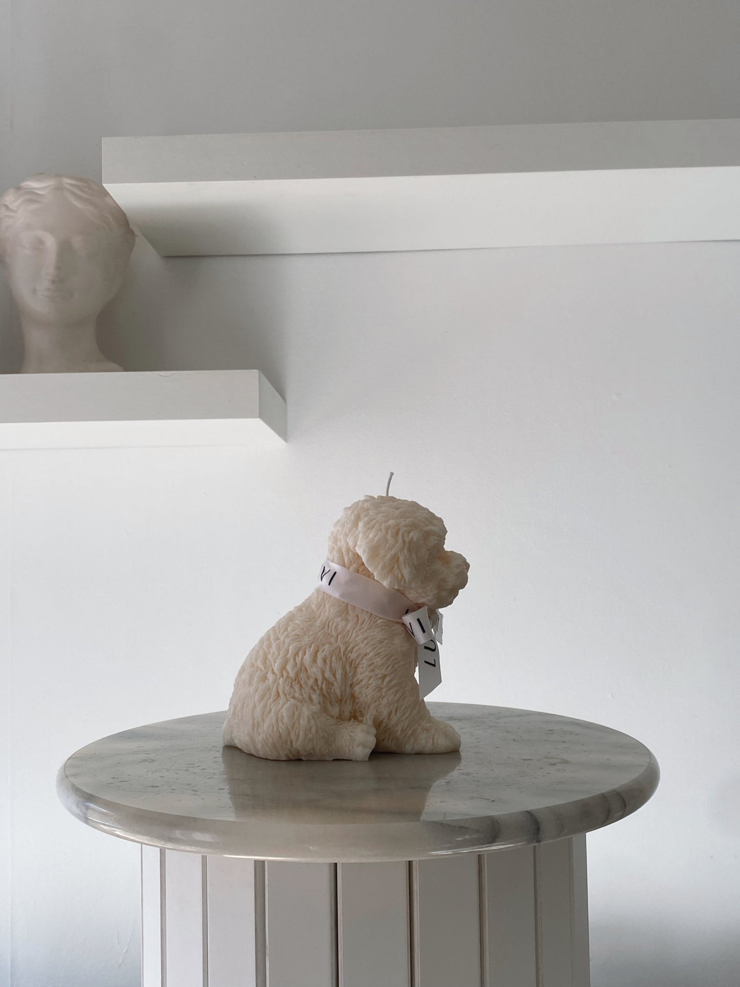Cavoodle