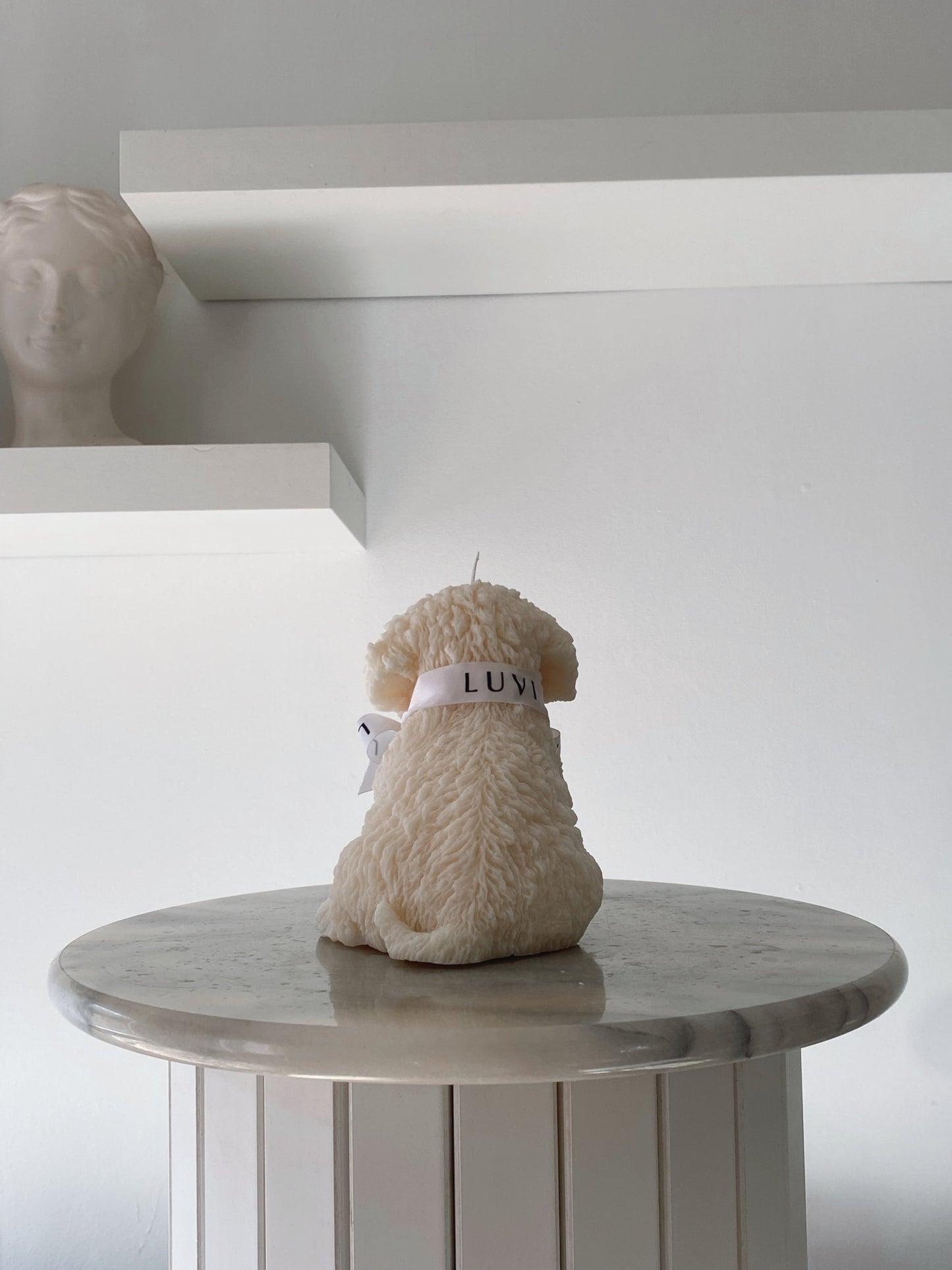 Cavoodle
