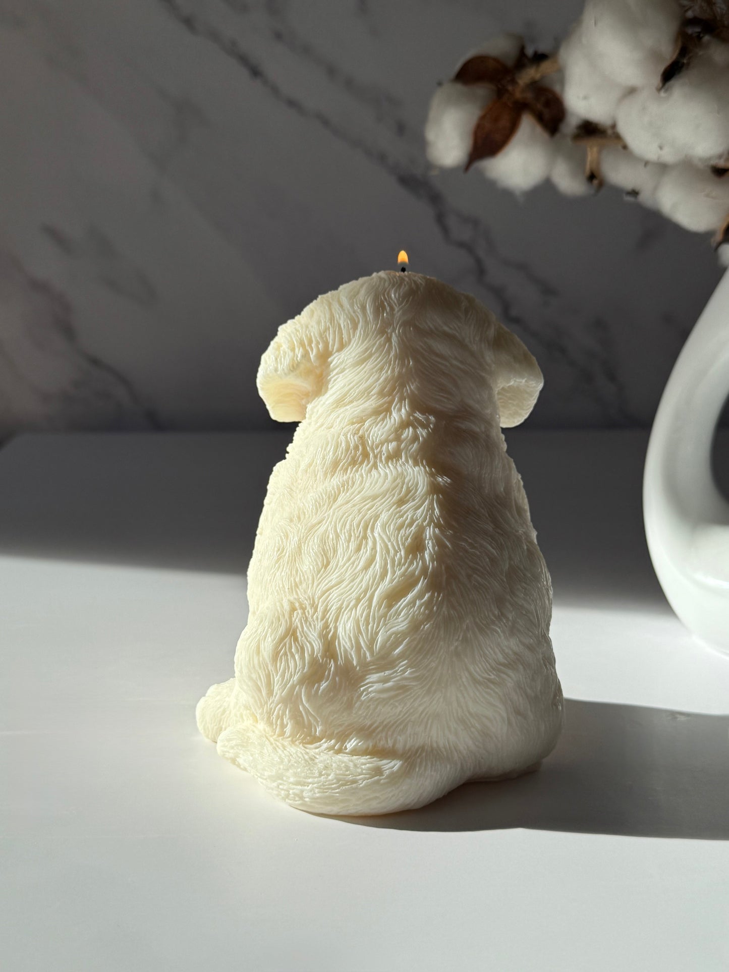 BERNE ALPINE SHEPHERD DOG on a candle