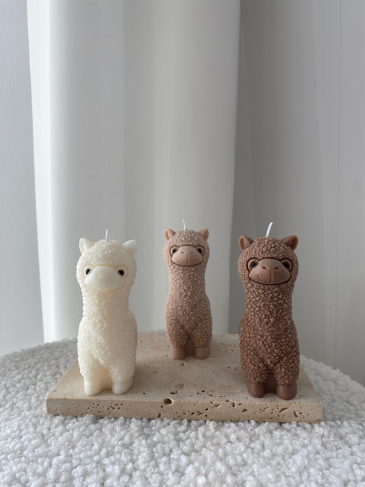 Alpaca