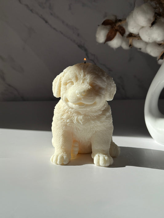 BERNI ALPI KARJAKOER küünal